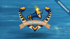 How to build your beatbox wildcard - Course