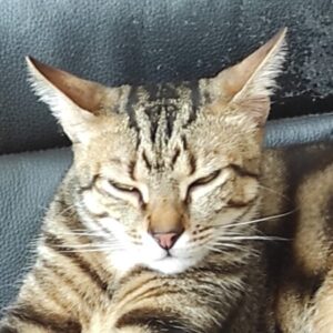 Photo de Profil de kitambbx